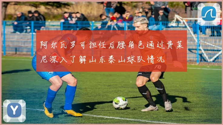 阿尔瓦罗可担任后腰角色通过费莱尼深入了解山东泰山球队情况