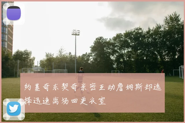 约基奇东契奇亲密互动詹姆斯却选择迅速离场回更衣室
